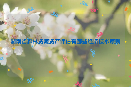 湖南省森林資源資產(chǎn)評(píng)估有哪些經(jīng)濟(jì)技術(shù)原則