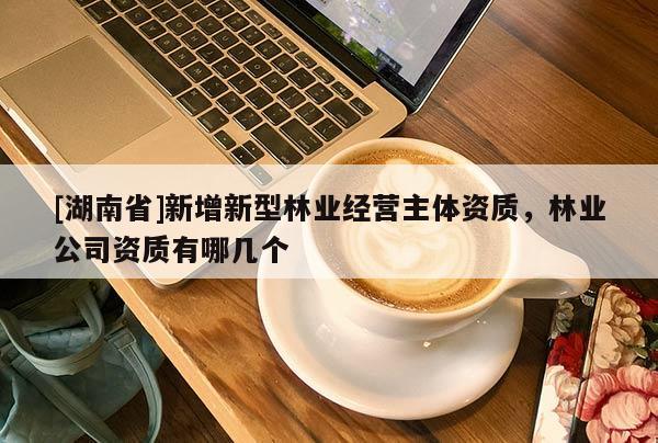 [湖南省]新增新型林業(yè)經營主體資質，林業(yè)公司資質有哪幾個