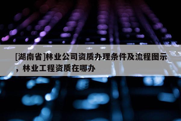 [湖南省]林業(yè)公司資質(zhì)辦理條件及流程圖示，林業(yè)工程資質(zhì)在哪辦