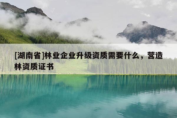 [湖南省]林業(yè)企業(yè)升級資質(zhì)需要什么，營造林資質(zhì)證書