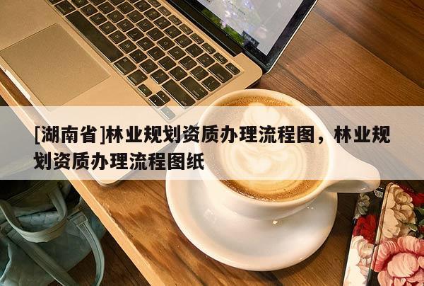 [湖南省]林業(yè)規(guī)劃資質(zhì)辦理流程圖，林業(yè)規(guī)劃資質(zhì)辦理流程圖紙