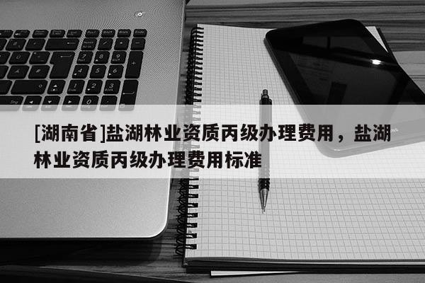 [湖南省]鹽湖林業(yè)資質丙級辦理費用，鹽湖林業(yè)資質丙級辦理費用標準