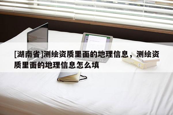 [湖南省]測(cè)繪資質(zhì)里面的地理信息，測(cè)繪資質(zhì)里面的地理信息怎么填