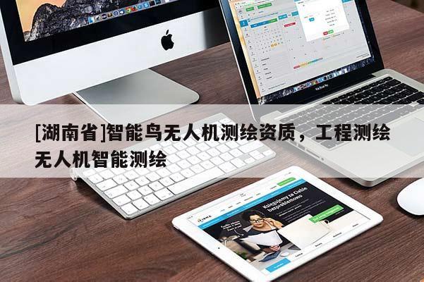 [湖南省]智能鳥無(wú)人機(jī)測(cè)繪資質(zhì)，工程測(cè)繪無(wú)人機(jī)智能測(cè)繪