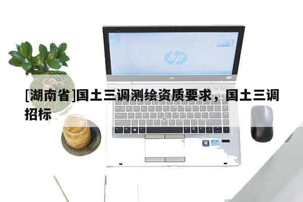 [湖南省]國(guó)土三調(diào)測(cè)繪資質(zhì)要求，國(guó)土三調(diào)招標(biāo)