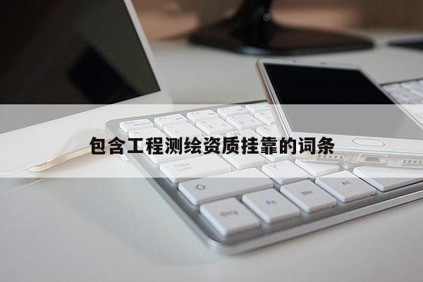 包含工程測(cè)繪資質(zhì)掛靠的詞條
