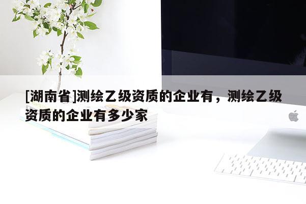 [湖南省]測(cè)繪乙級(jí)資質(zhì)的企業(yè)有，測(cè)繪乙級(jí)資質(zhì)的企業(yè)有多少家