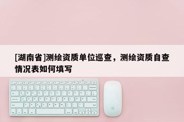 [湖南省]測(cè)繪資質(zhì)單位巡查，測(cè)繪資質(zhì)自查情況表如何填寫